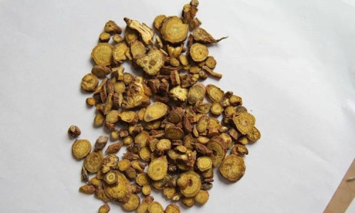 野菊花夏枯草的功效与作用-野菊花夏枯草的功效与作用-野菊花全草的功效与作用,中国野菊花叶功效与作用及禁忌网站